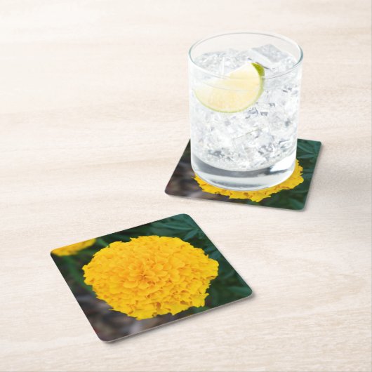 Marigold - Gelbe Blume - Untersetzer (Vor Ort)