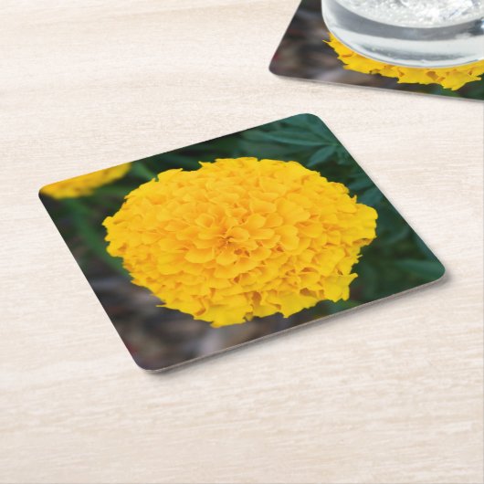Marigold - Gelbe Blume - Untersetzer (angewinkelt)