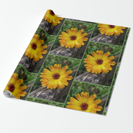 Marigold Geschenkpapier (Ungerollt)