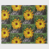 Marigold Geschenkpapier (Flach)