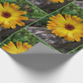 Marigold Geschenkpapier (Ecke)