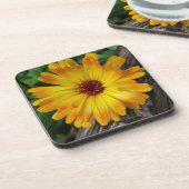 Marigold Getränkeuntersetzer (Linke Seite)