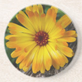 Marigold Getränkeuntersetzer (Vorne)