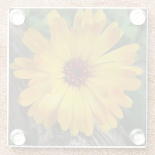 Marigold Glasuntersetzer (Rückseite)