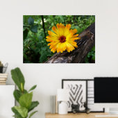 Marigold im Wald Poster (Heimbüro)