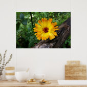 Marigold im Wald Poster (Küche)