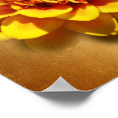 Marigold Joy Poster (Ecke)