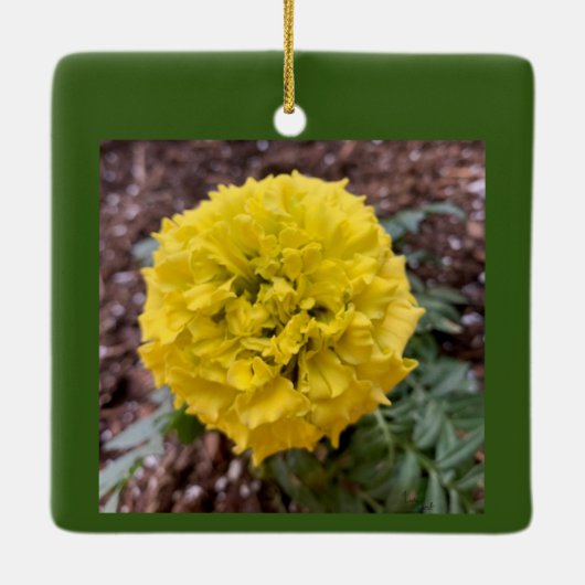 Marigold Keramikornament (Rückseite)