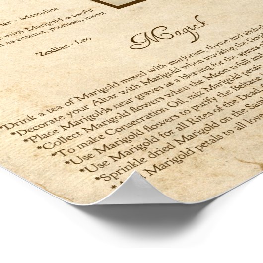 MARIGOLD MAGICK HERB POSTER (Ecke)