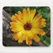 Marigold Mousepad (Vorne)