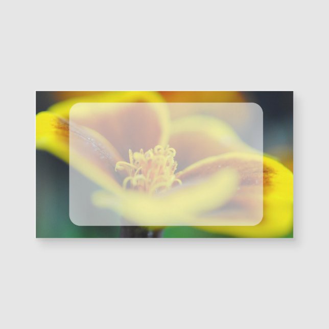 Marigold Nah Up Magnetkarte (Vorderseite)