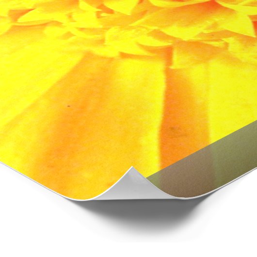 Marigold nah-up poster (Ecke)