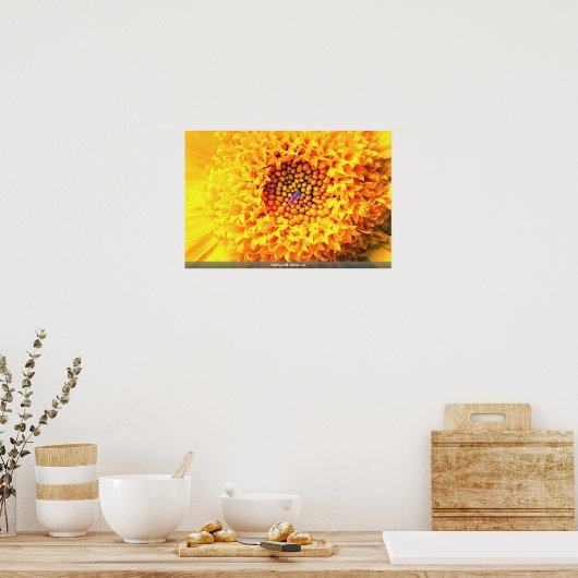 Marigold nah-up poster (Küche)