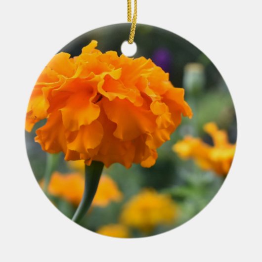 Marigold Orange Blume Naturfotografie Garten Keramik Ornament (Vorne)