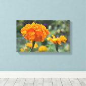 Marigold Orange Blume Naturfotografie Garten Leinwanddruck (Insitu (Holzboden))