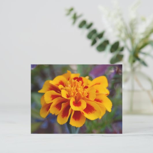 Marigold Postcard Postkarte (Stehend Vorderseite)
