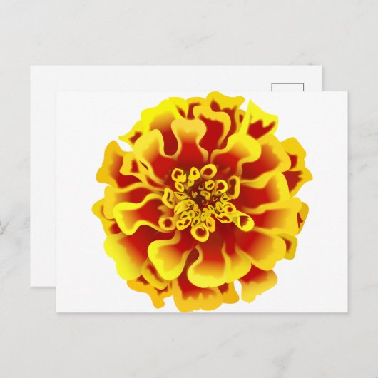 Marigold Postkarte (Vorne/Hinten)