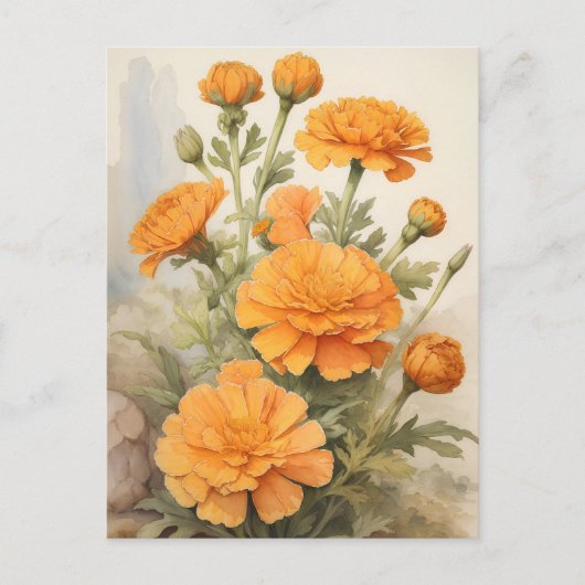 Marigold Postkarte (Vorderseite)