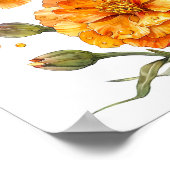 Marigold Print, orange Blume Kunst, Kunst Poster (Ecke)