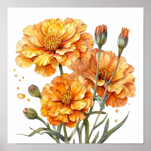 Marigold Print, orange Blume Kunst, Kunst Poster (Vorne)