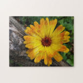 Marigold Puzzle (Horizontal)
