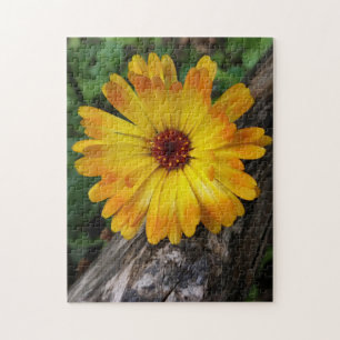 Marigold Puzzle