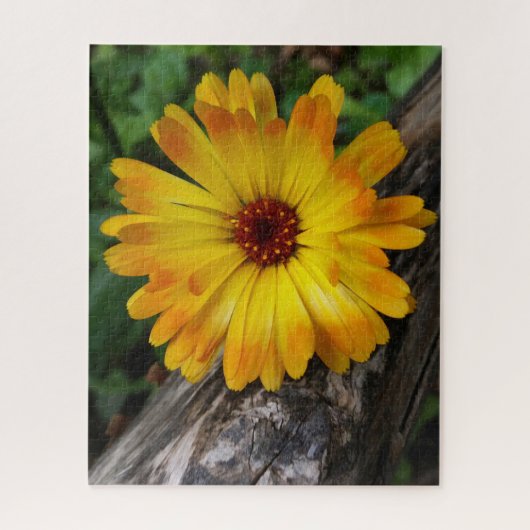 Marigold Puzzle (Vertikal)