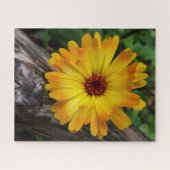 Marigold Puzzle (Horizontal)