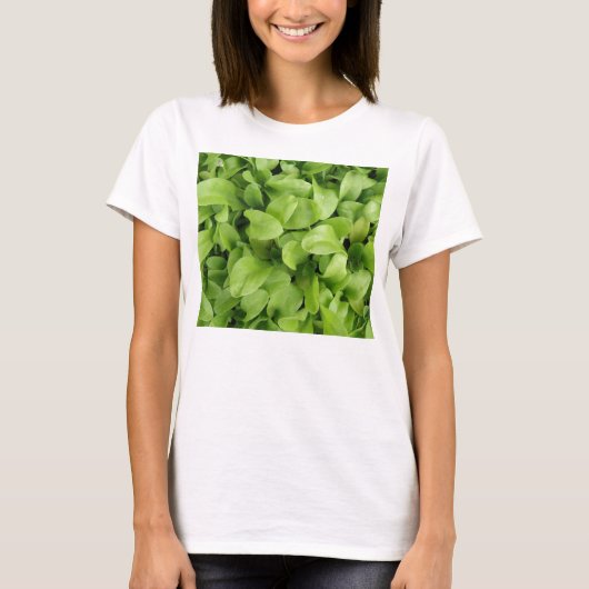 Marigold Seedlings Ladys T Shirt (Vorderseite)