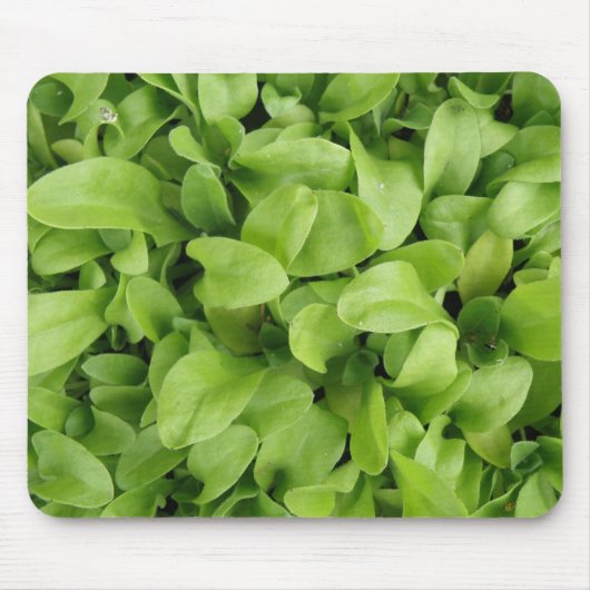 Marigold Seedlings Mousepad (Vorne)