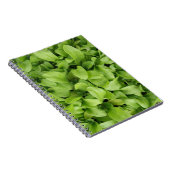 Marigold Seedlings Notebook Notizblock (Rechte Seite)