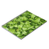 Marigold Seedlings Notebook Notizblock (Linke Seite)