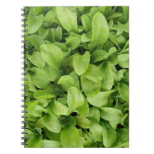 Marigold Seedlings Notebook Notizblock