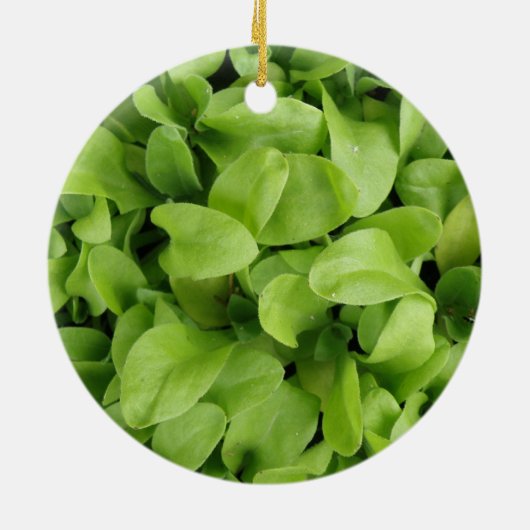 Marigold Seedlings Ornament (Hinten)