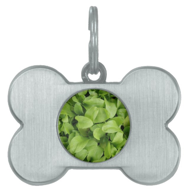 Marigold Seedlings Pet Tag Tiermarke (Vorderseite)