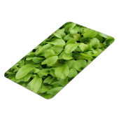 Marigold Seedlings Premium Magnet (Linke Seite)