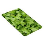 Marigold Seedlings Premium Magnet (Rechte Seite)