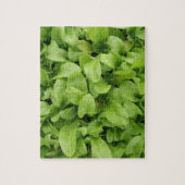 Marigold Seedlings Puzzle (Vertikal)