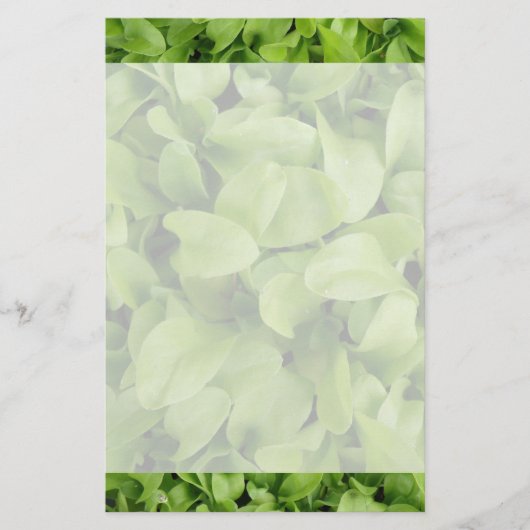Marigold Seedlings Stationery Briefpapier (Vorderseite)