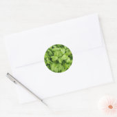 Marigold Seedlings Stickers (Umschlag)