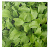 Marigold Seedlings Tile Fliese (Vorderseite)