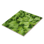 Marigold Seedlings Tile Fliese (Seite)