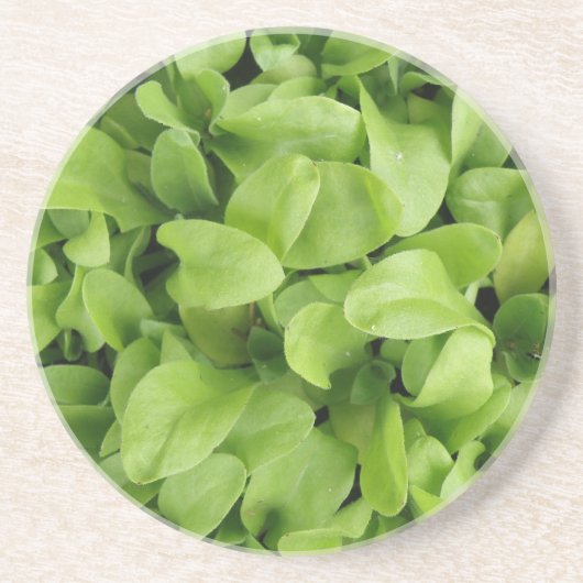 Marigold Seedlings Untersetzer (Vorne)