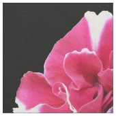 Marigold Stoff (Nahaufnahme)