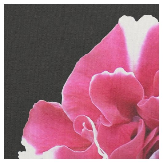 Marigold Stoff (Nahaufnahme)