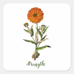 Marigold Strength Inspiration Sticker
