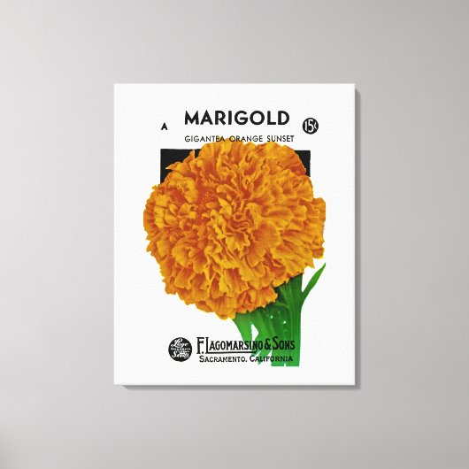 Marigold Vintag Seed Packet Leinwanddruck (Vorderseite)