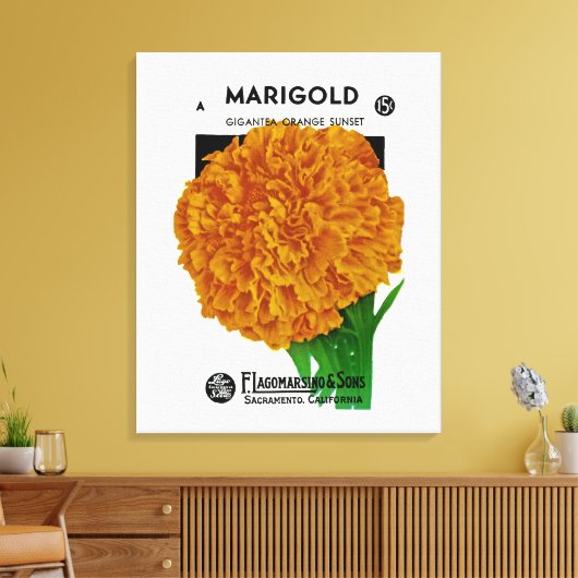 Marigold Vintag Seed Packet Leinwanddruck (Insitu (Wohnzimmer))