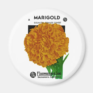 Marigold Vintag Seed Packet Magnet