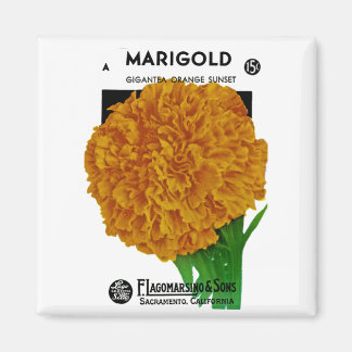 Marigold Vintag Seed Packet Magnet